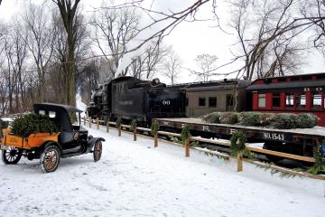 Christmas trees being loaded onto a train car on the Strasburg Rail Road.