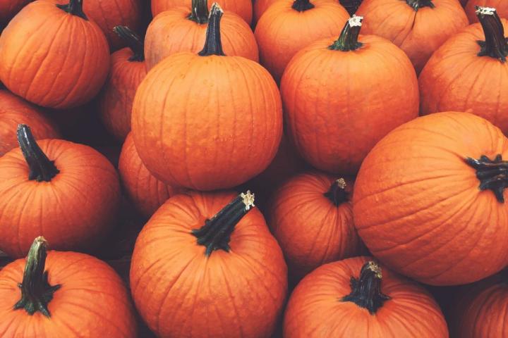 A bunch of pumpkins.