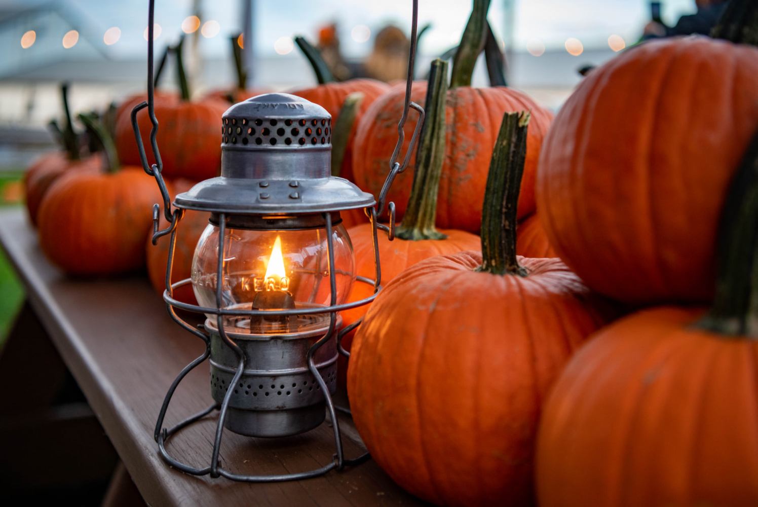 Pumpkins and a lit lantern lined up on a table.