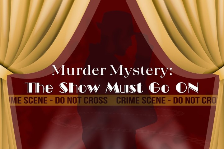 Murder Mystery Train Ride 25
