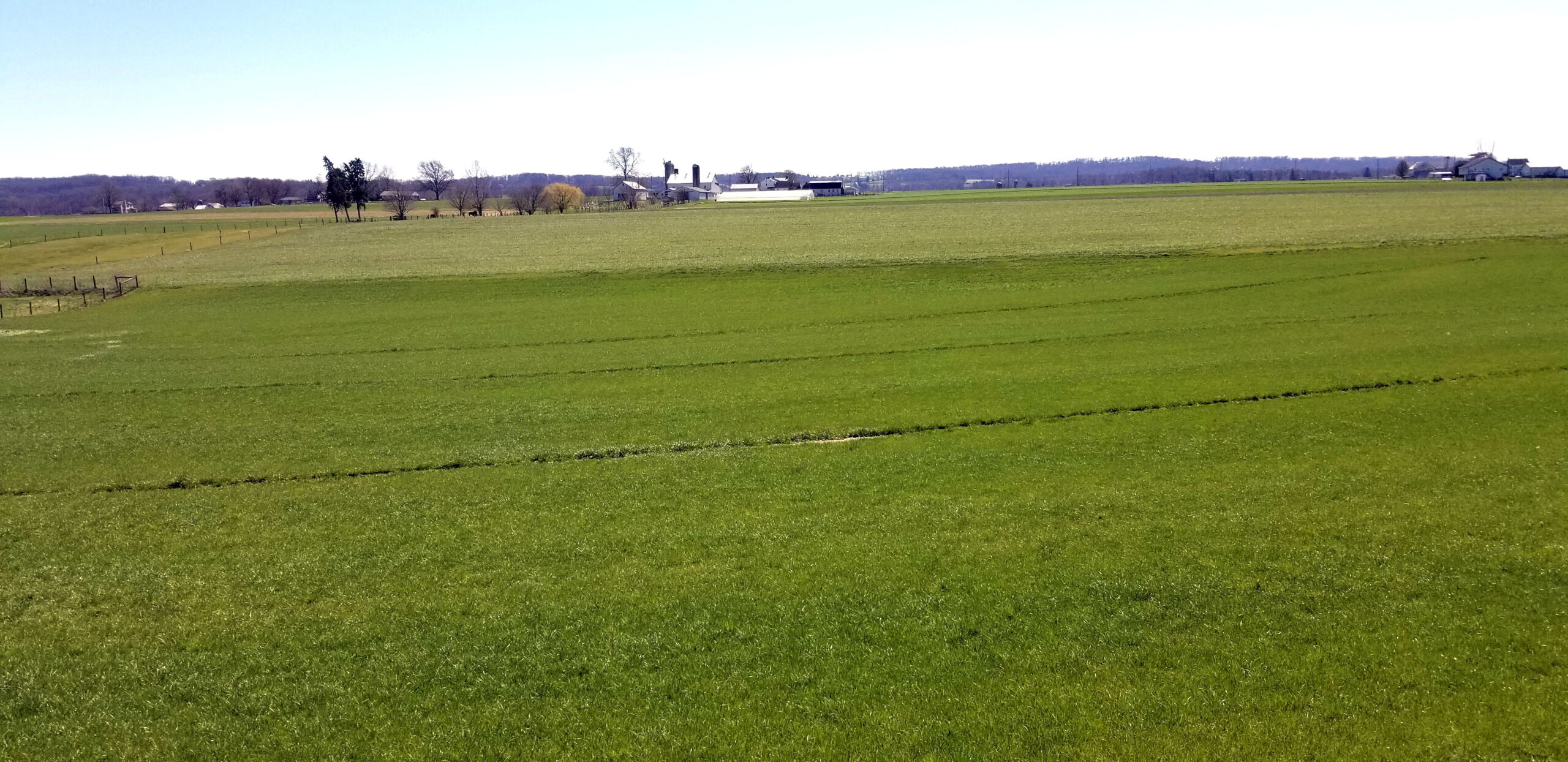 A large green field.
