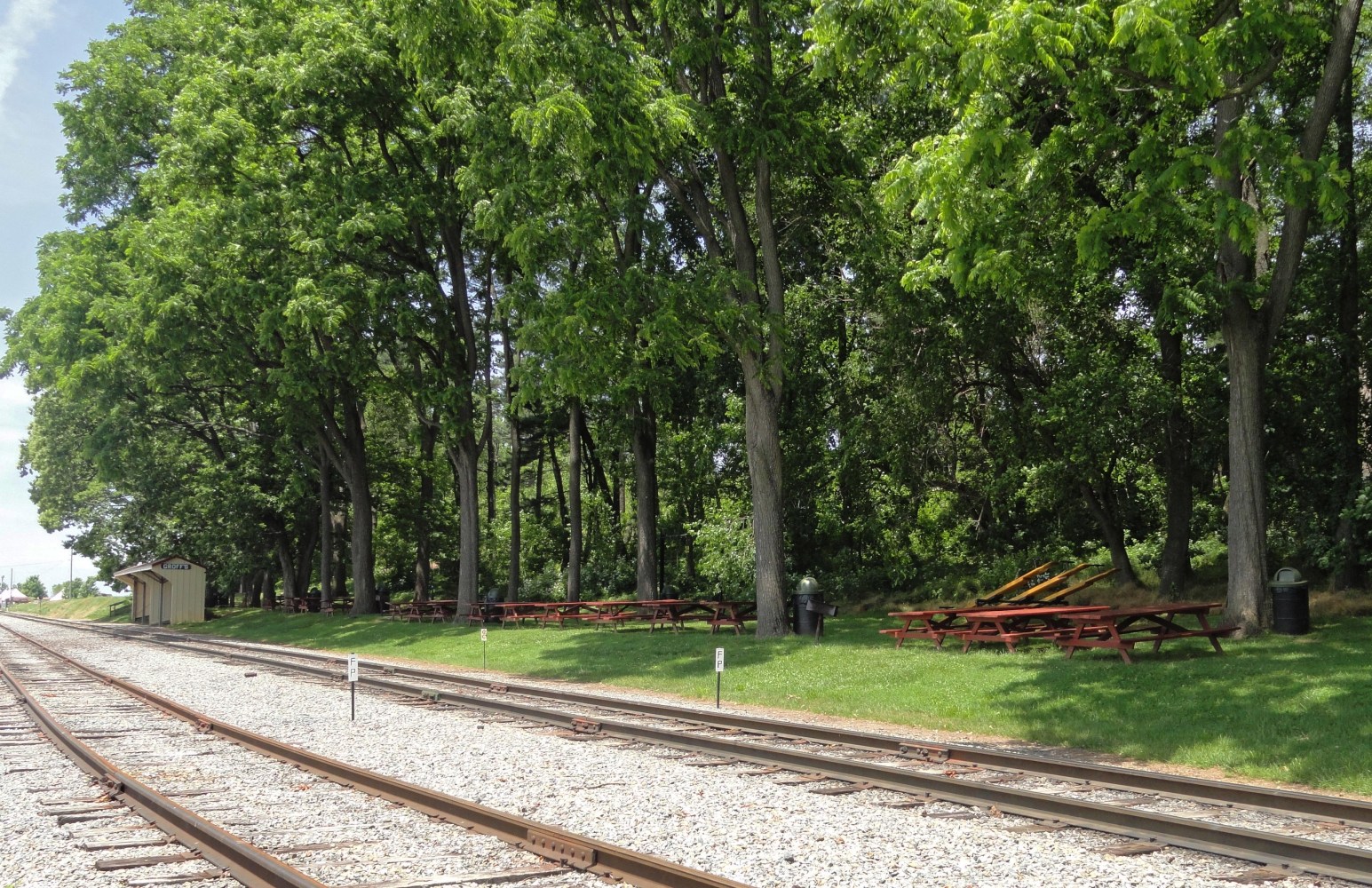 Empty train tracks next to Groff's Grove.