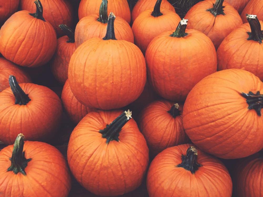 A pile of pumpkins.